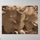 Recherche de tropicaux fleurs posters Mère