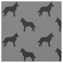 Recherche de malinois belges Chien