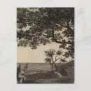 Recherche de vanuatu cartes postales Tanna