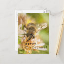 Recherche de nuit de noël cartes postales Photographie