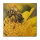 Recherche de abeille miel carreaux Animal