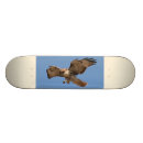 Recherche de faucon skateboards Rapace