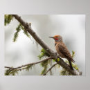 Recherche de gary art Amérique du nord