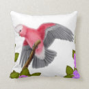 Recherche de cacatoès coussins Galah
