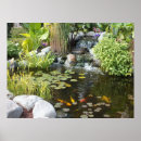 Recherche de koi pond posters Eau