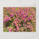 Recherche de flower power cartes postales Fleur