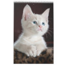 Recherche de de chat calendriers 2022