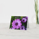 Recherche de fleur marguerite vœux cartes Pour tous