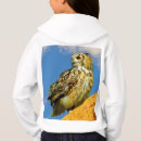 Recherche de eurasien Nature