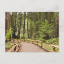 Recherche de marine nationale cartes postales Vert