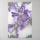 Zoek naar paars posters Decoratief