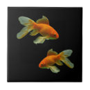Zoek naar goudvis tegels Aquariumvis