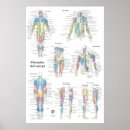 Recherche de jambe humaine posters Médical