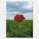 Recherche de fleurs de pavot magnets Rouge
