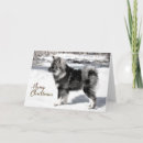 Recherche de laponie Noël