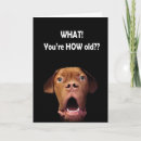 Recherche de dogue de bordeaux vœux cartes Mignon