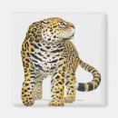 Recherche de jaguar refrigérateur magnets Faune