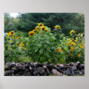 Recherche de mur pierre posters Floral