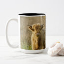 Recherche de highland cow tasses Bétail