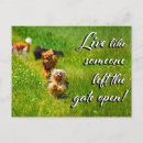 Recherche de yorkshire terrier chien cartes postales Mignon