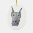 Zoek naar doberman ornamenten Huisdier