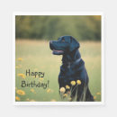 Recherche de laboratoire serviettes Labrador