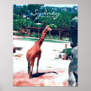 Recherche de zoo posters Girafe