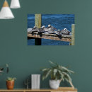 Zoek naar pelikanen posters Vogel