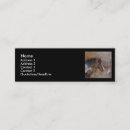 Recherche de peinture de cheval cartes visite Équin