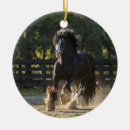 Recherche de gitans ornements Chevaux