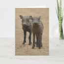 Recherche de province vœux cartes Animaux sauvages