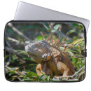 Recherche de reptile photographie Exotique