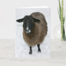 Zoek naar sheep kaarten Xmas