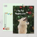 Recherche de naughty cartes postales Chien