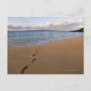 Recherche de empreinte pas cartes postales Plage