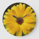 Recherche de marigold horloges Jaune