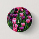 Recherche de rose de tulipe badges Floral
