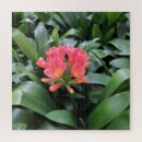 Recherche de exotique puzzles Pour elle
