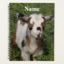 Recherche de nain bureau fournitures Ferme