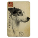 Recherche de jack russel magnets Animal