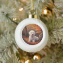 Recherche de bichon frise ornamente Animal