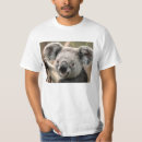 Recherche de velu Koala