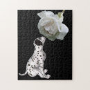 Zoek naar dalmatian puzzels Schattig