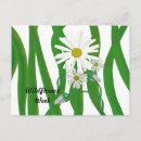 Recherche de marguerite sauvage cartes postales Fleur
