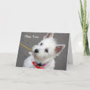 Recherche de scotties vœux cartes Chiot