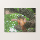 Recherche de écureuil drôle puzzles Arbre