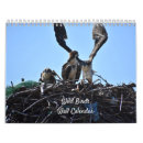 Zoek naar heron fotografie Vogel