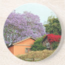 Recherche de photographie paysage de dessous de verres Arbres