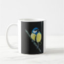 Recherche de mésange bleue tasses Oiseau