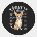 Zoek naar anatomie stickers Huisdier